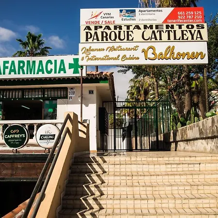 1 Bedroom In Parque Cattleya, Playa De Las Americas Lejlighed